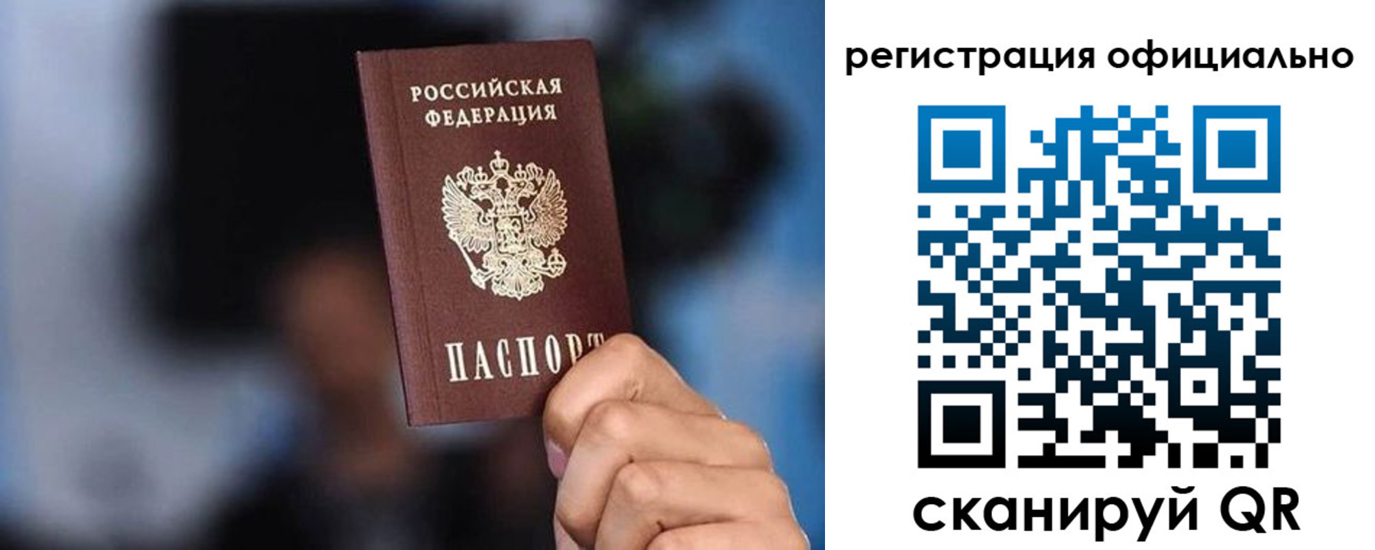 прописка для школы в Мончегорске